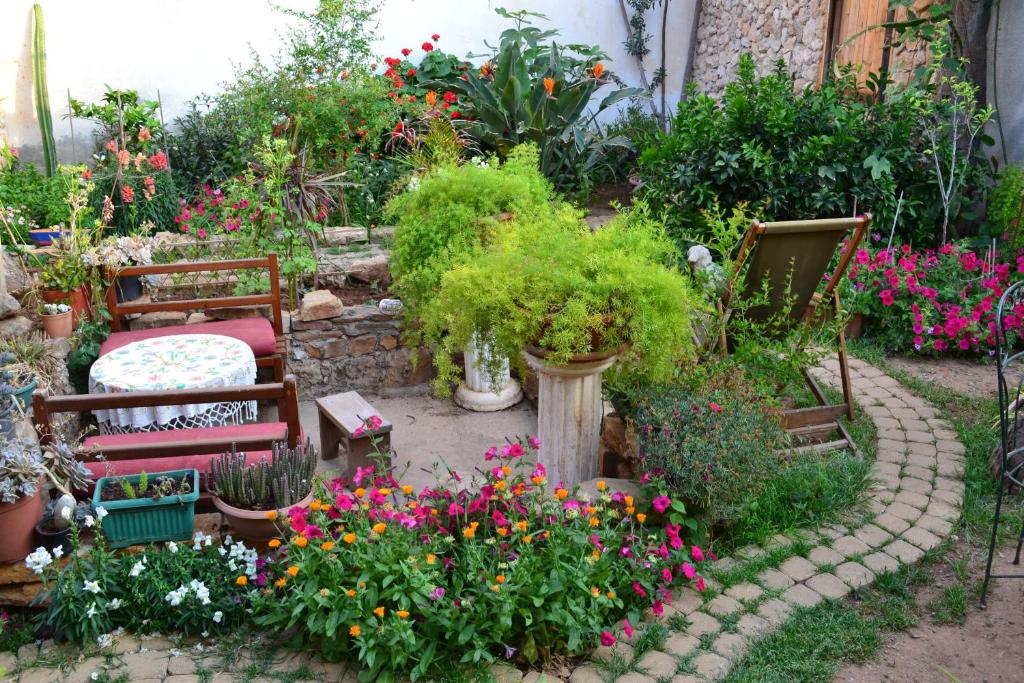 Garden path lined with daisies leading to the guest house