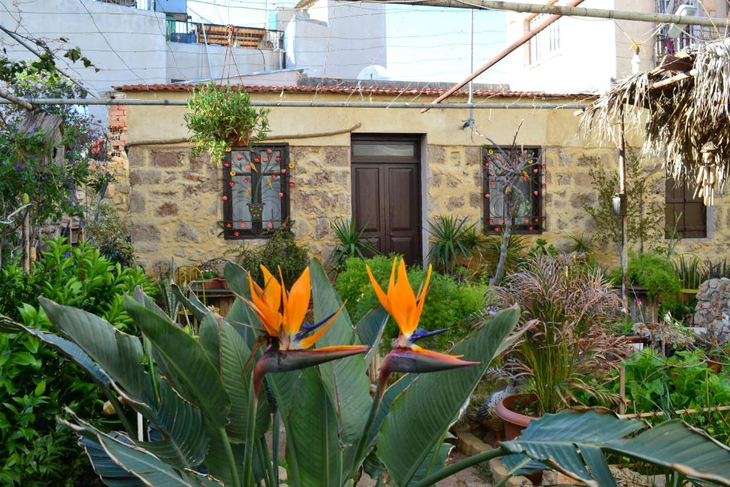 Stone exterior with bird-of-paradise flowers